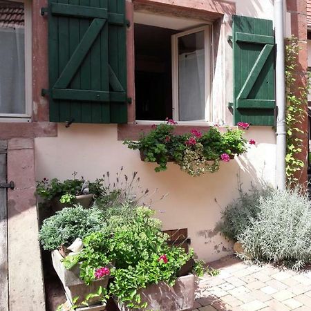 Charmant Petit Appartement En Alsace Bouxwiller  Esterno foto