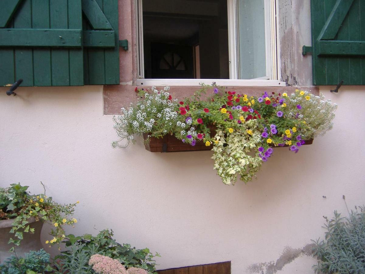 Charmant Petit Appartement En Alsace Bouxwiller  Esterno foto